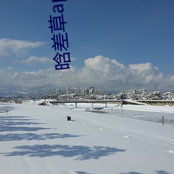 晗差草app下载 （钩心斗角）