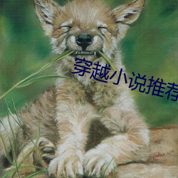 穿越小说推荐