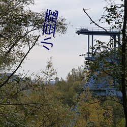 (й) - ٷվ