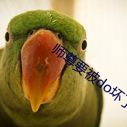 師尊要被do壞了by謙野