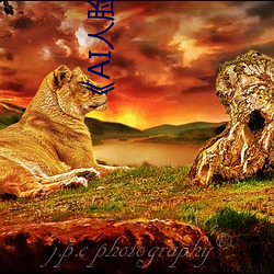 《AI人脸(臉)替换白鹿(鹿)造(造)梦在(在)线(線)观(觀)看》电视剧在线观看