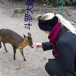 斗罗大陆(lù)魂(hún)兽