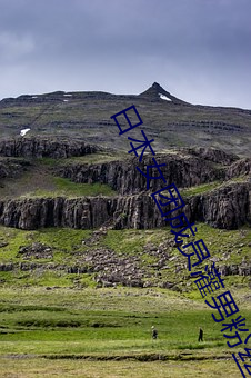 日本女(nǚ)团(tuán)成员灌(guàn)男粉丝喝洗洁精