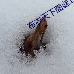 布(bù)衣(yī)天下图谜123456