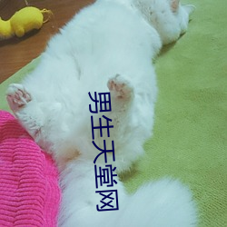 男生天堂網