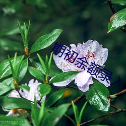 期初余额录入