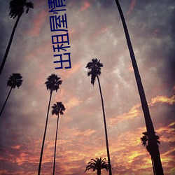 ² ʮݣ