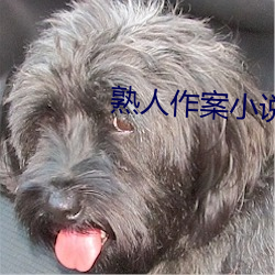 熟人作案小說