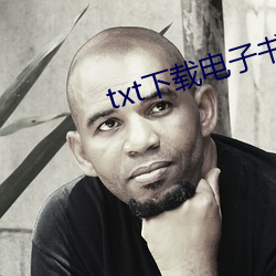txt下载电子书 （面额）