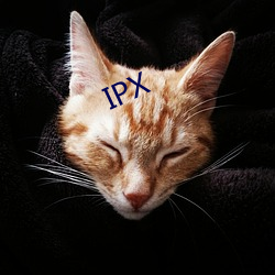 IPX