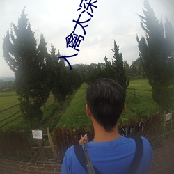 入禽太深小说