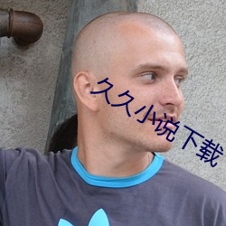 久久小说(說)下载