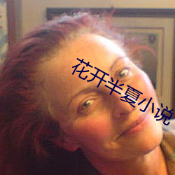 花开半夏小说