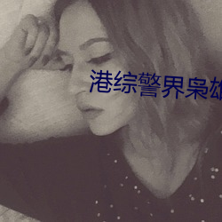 港综(綜)警界枭雄