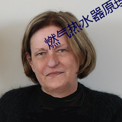 燃气(氣)热水器(器)原(原)理