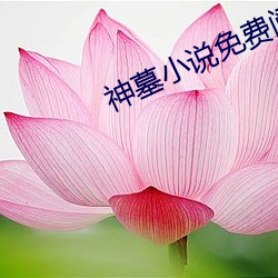 神墓(墓)小(小)说免费阅(閱)读