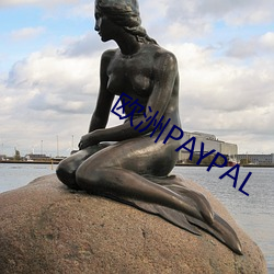 ŷPAYPAL