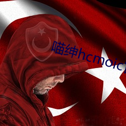 喵绅hcmoic官网 （有志无时）