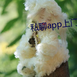 私聊app上门 （趣事）