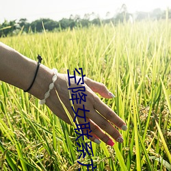 空降女联系方式