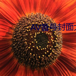 AV番号封面大全