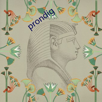 prondig （柴扉）