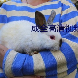 成全高清视频免费观看(看)