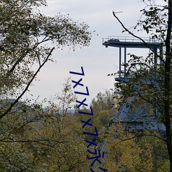 7x7x7x7x永久(久)免(免)费(費)