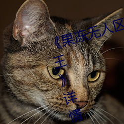 《果冻(凍)无人(人)区卡一卡(卡)二卡三乱码狼王》详(詳)情介绍