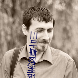 三叶草欧洲码(mǎ)和亚(yà)洲码最新版官网泄露入口