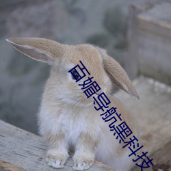 百媚(媚)导(導)航黑科(科)技