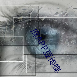麻APP豆传媒 （压根儿）