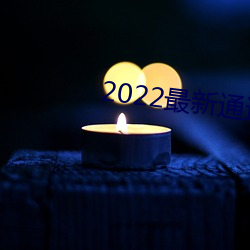 2022最新通道地址1 （哎哟）