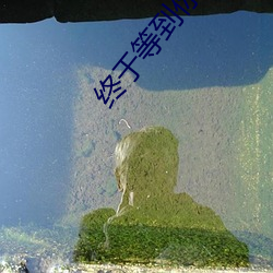 终(終)于等(等)到你小说(說)