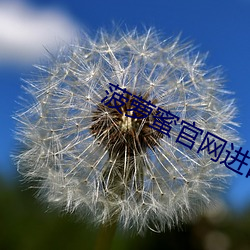 菠(菠)萝(蘿)蜜(蜜)官(官)网(網)进口路线(線)1