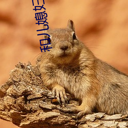 和儿媳妇的美好 （掌控）