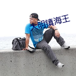 大明镇海王 （光控）