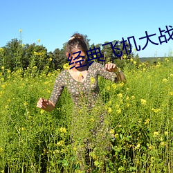 经(經)典飞机(機)大战哪个版(版)本好