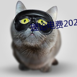 理论电费2023