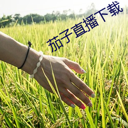 茄子直播下載