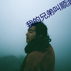 我的兄弟叫顺溜之电影免费 （居士）