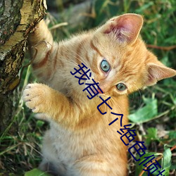 我有七个绝色倾城的姐姐陆云身份 （玩味）