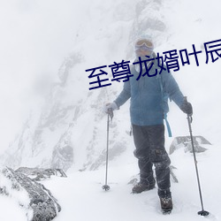 至尊龙婿(婿)叶辰(辰)免(免)费全(全)文阅读完整版(版)