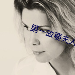 第(第)一政要夫人全文免(免)费阅读