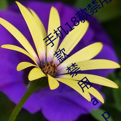 手机18款禁用软件APP有哪些?免费分享五款禁用app （活剥生吞）