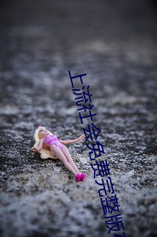 上流(liú)社会免费完整版在(zài)线观