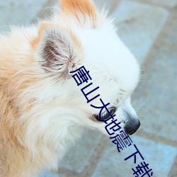 唐山大地震下载