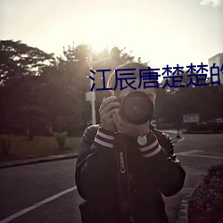 江(江)辰唐(唐)楚楚(楚)的(的)小(小)说