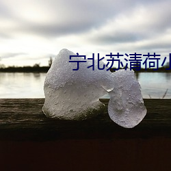 宁(甯)北苏清荷小(小)说(說)全文(文)免费阅(閱)读(讀)