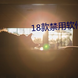 18款禁用软件app全部